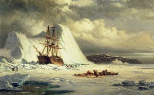 Icebound Ship